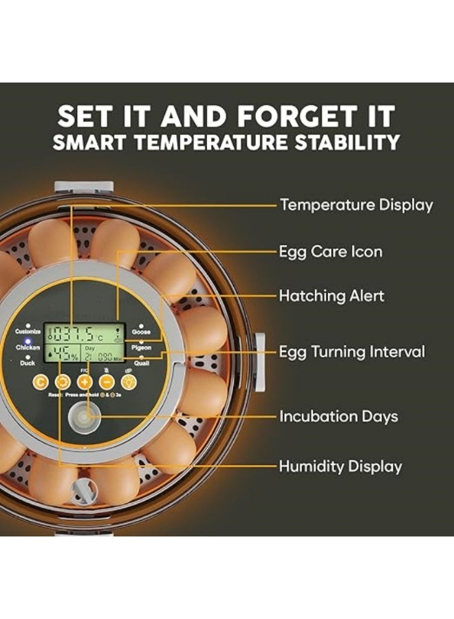 إم مياويان حاضنة بيض 12 بيضة مع تقليب أوتوماتيكي للتحكم بالرطوبة وتنظيم درجة الحرارة – حاضنة بيض دجاج مع فحص البيض المدمج – سهلة الاستخدام للفقس المنزلي - Image 2